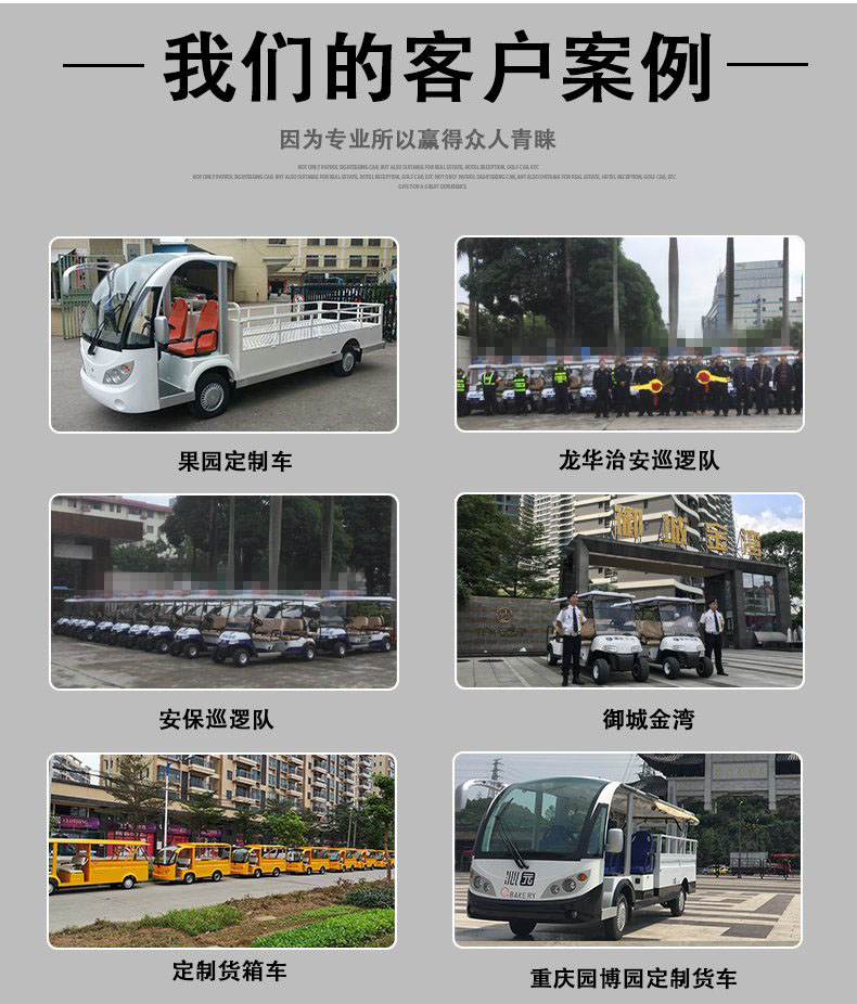 T8-1 電動觀光車廂式貨車廂式貨車四輪電瓶車度假(圖7)